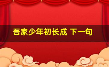 吾家少年初长成 下一句